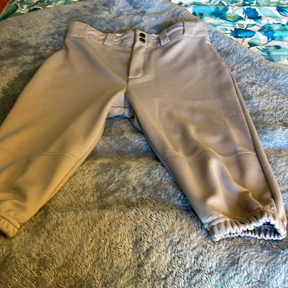 Demarimi Baseball pants.        Size L